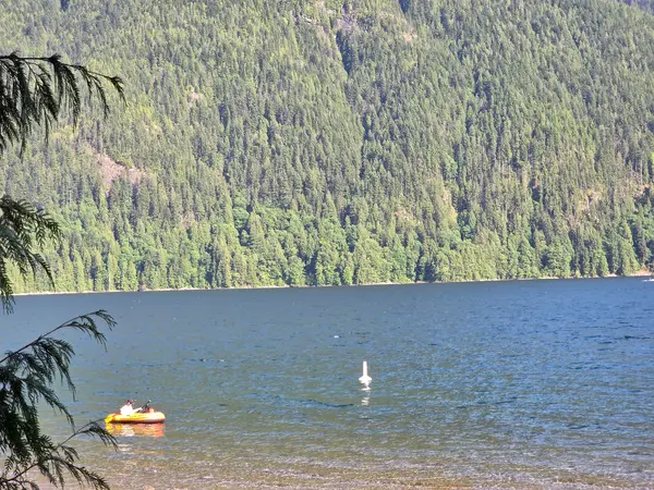 Deep Cove & Indian Arm Escape — private tour by NorthLuxDrive, photo 2
