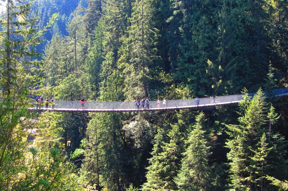 Vancouver City & Capilano Discovery — private Vancouver tour