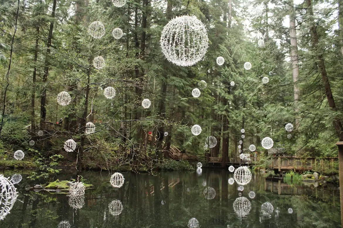 Vancouver City & Capilano Discovery — private tour by NorthLuxDrive, photo 2