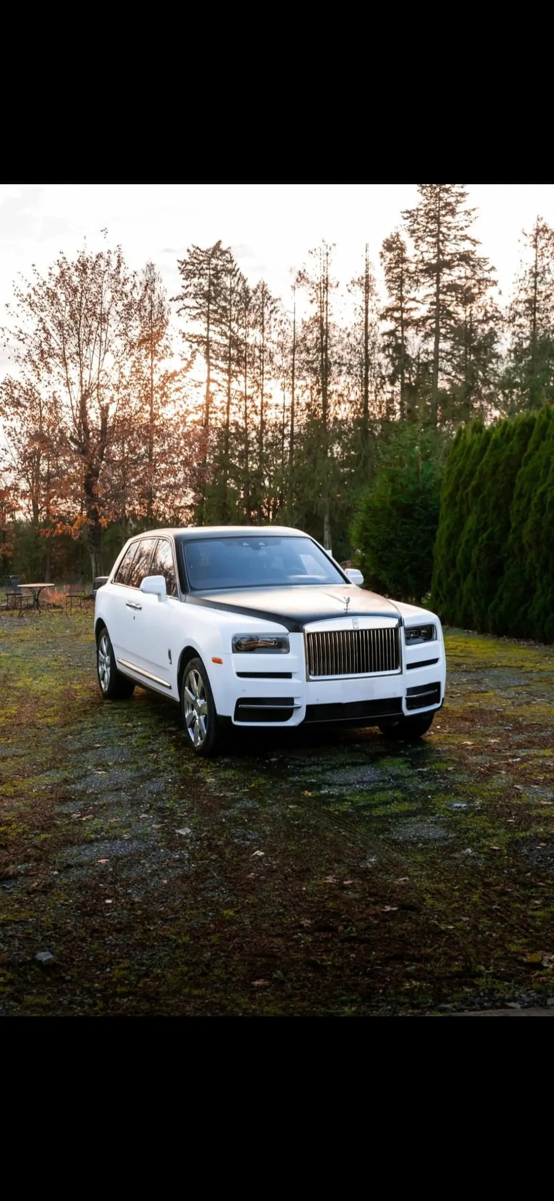 White Rolls-Royce Cullinan chauffeur to Whistler